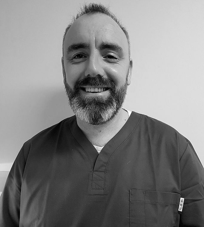 Meet The Team 4 steve meet the team southfield dental